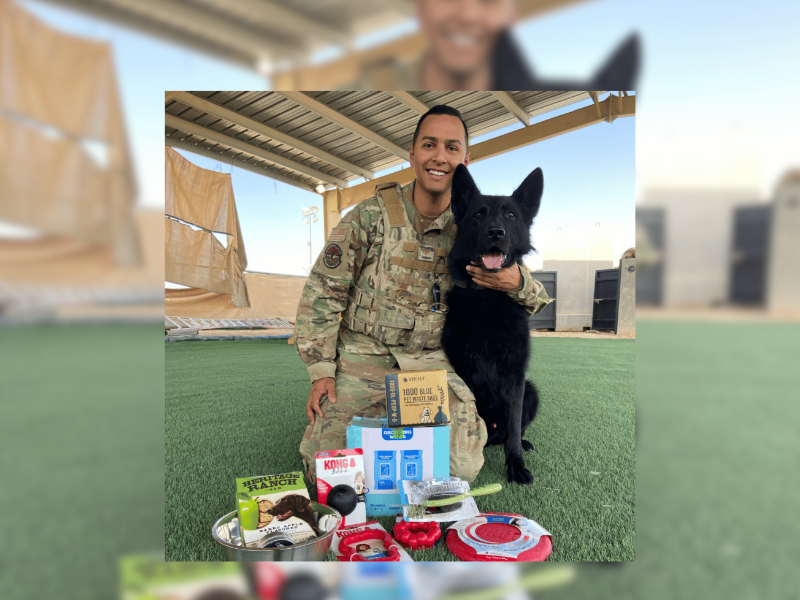 Honor Military Working Dogs